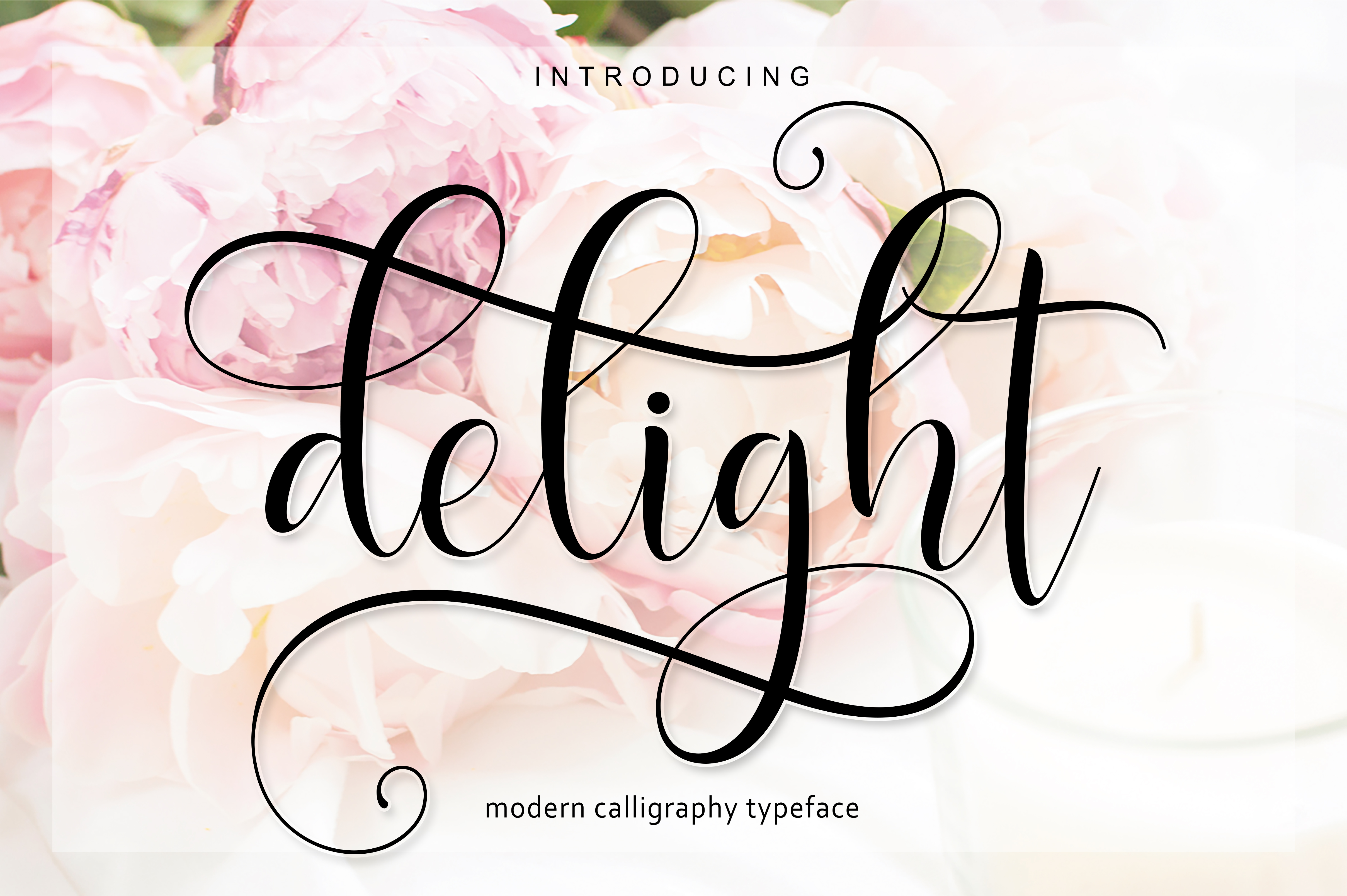 Delight Script: A Font Family That Truly Delivers
