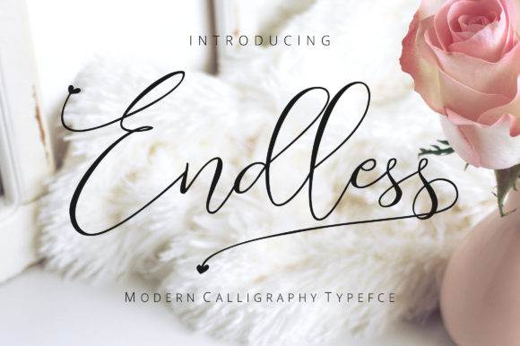 Endless Script: A Font for Unwavering Design