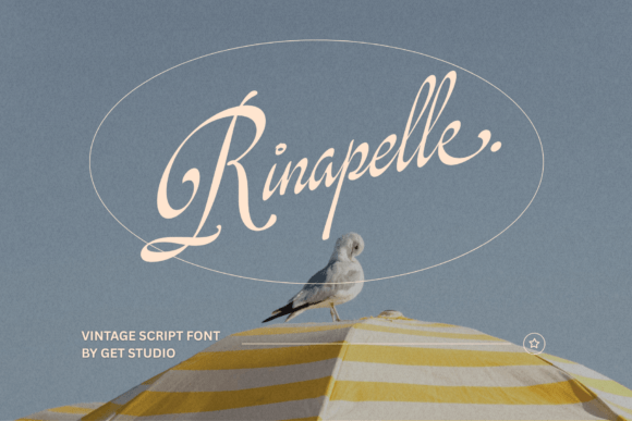 Rinapelle Script: Where Vintage Charm Meets Modern Design