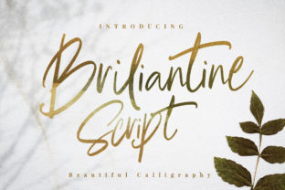 Why Briliantine Script is the Stylish Touch Your Designs Need