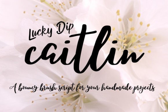 Why Caitlin Script is a Game-Changer for Your Brand's Visual Voice